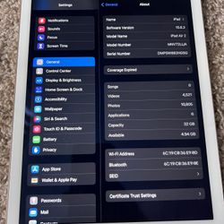 iPad Air 2