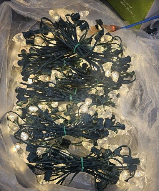 C7 LED Christmas Lights (Clear Color)