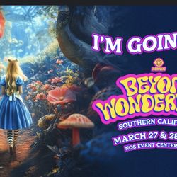BEYOND WONDERLAND 