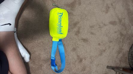 Disneyland Resort Packable Mini Bag