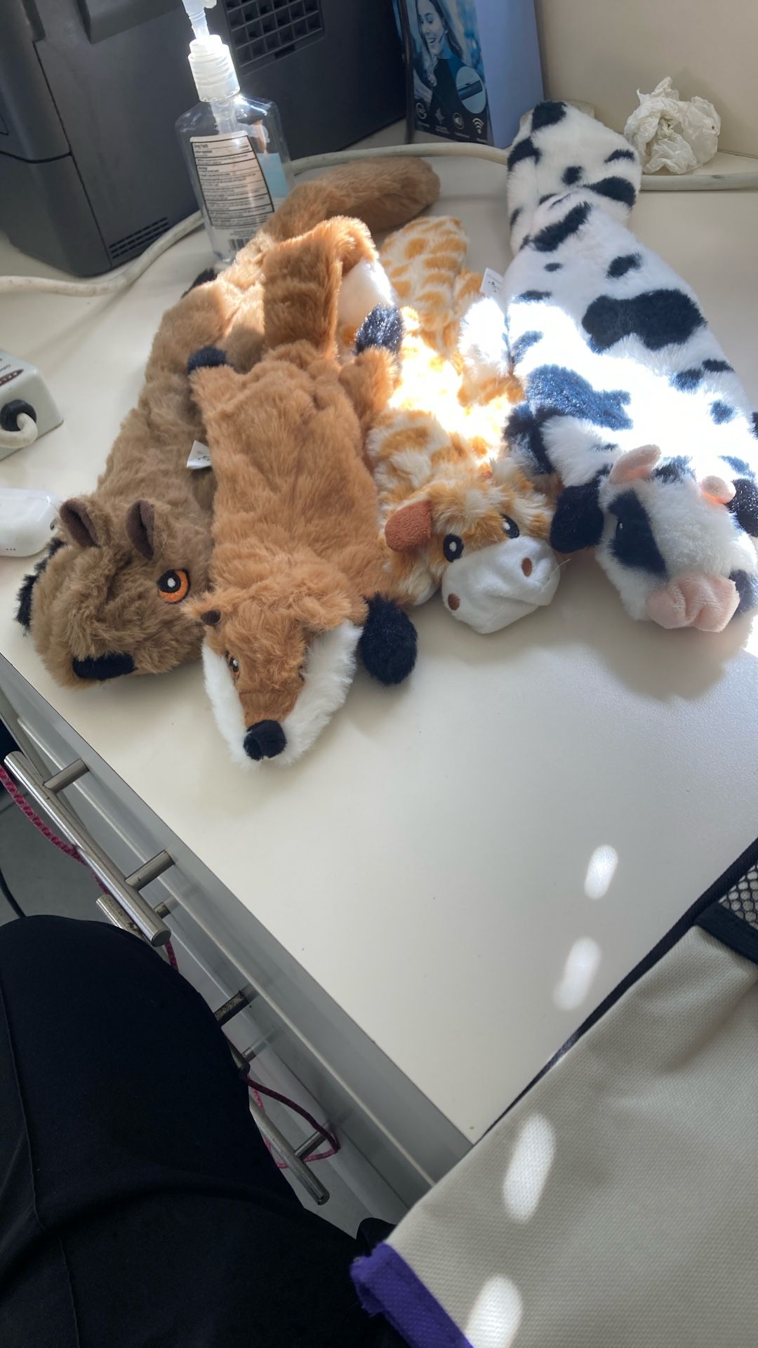 Dog Toys  $30 For All