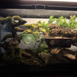 Small Tank 40$