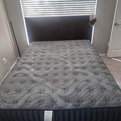 Queen Bed/Mattress