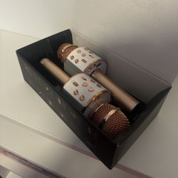 Karaoke Microphones  