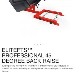 Back Extension Machine (see Description )