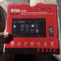 Stereo And Back Up Camera