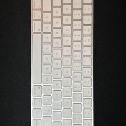 Apple Keyboard WITHOUT Number pad - Lighting Input
