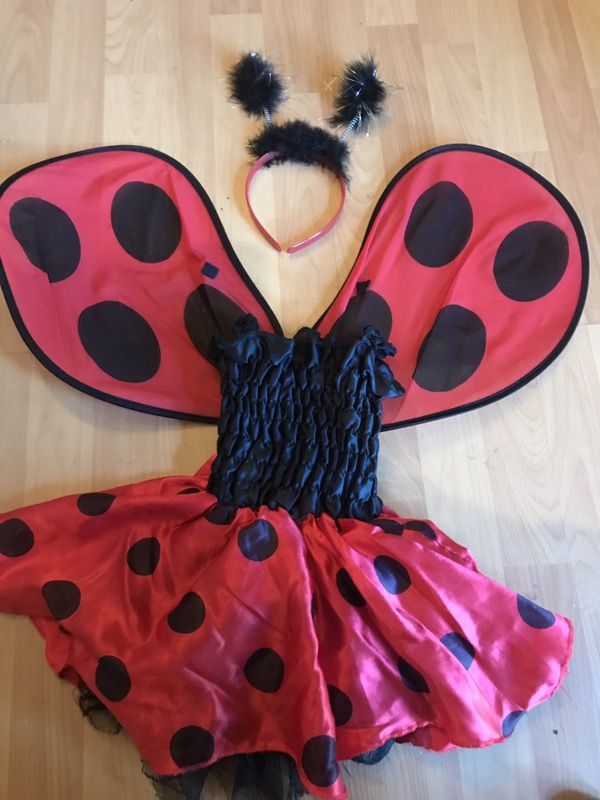 Ladybug Halloween costume