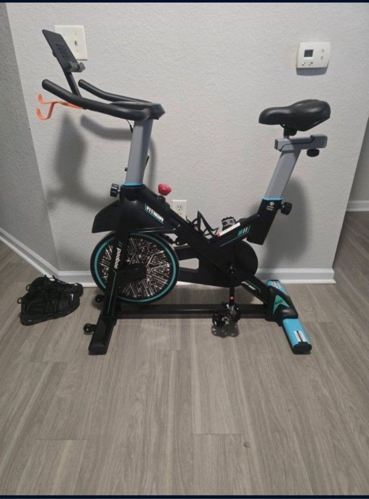 Exercise Electric Bike. Like New