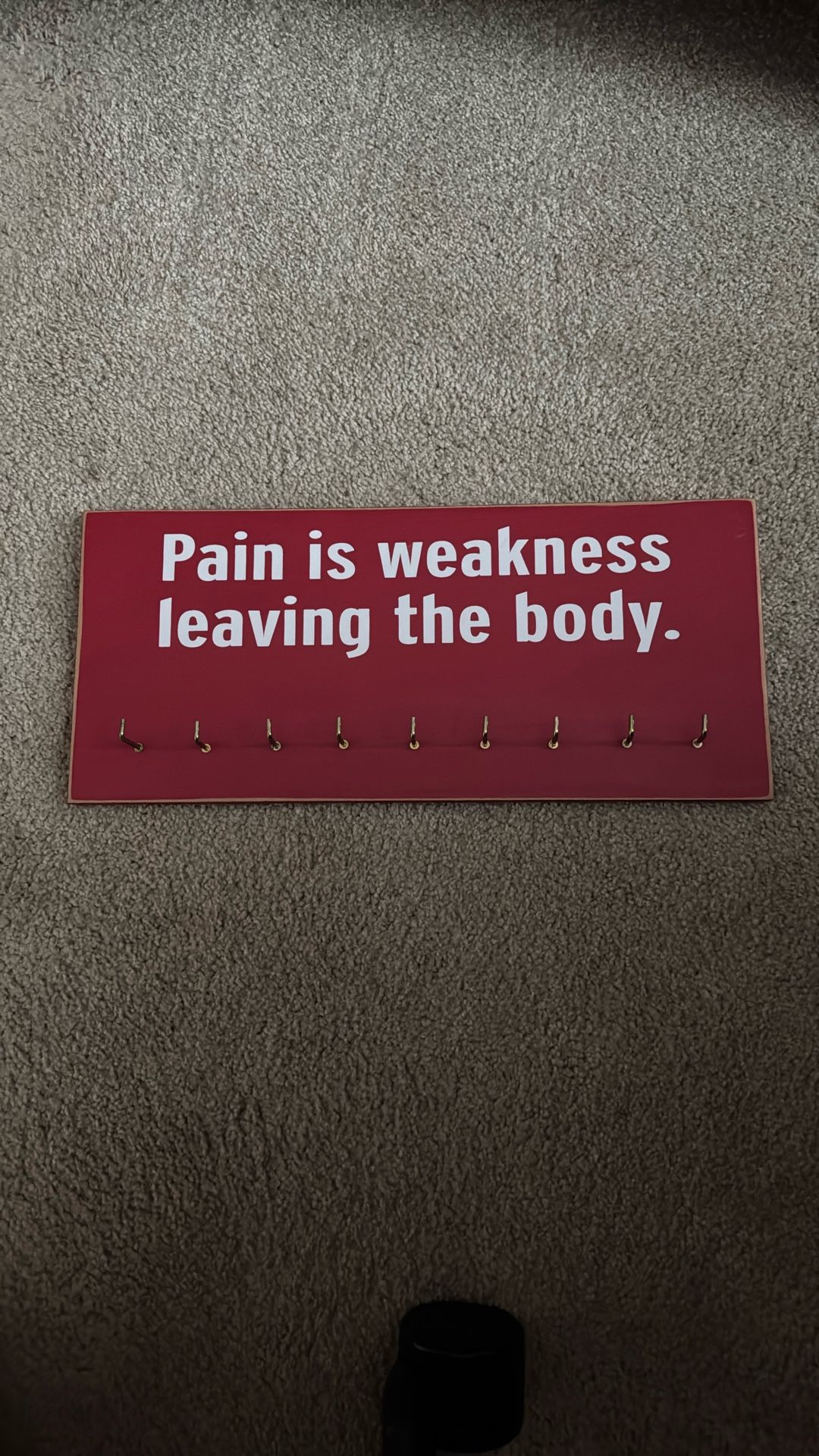 Race Medal Display Board