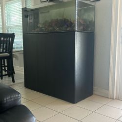 Waterbox Peninsula 65 Galon Tank W/table