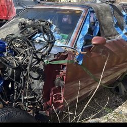 Monte Carlo part out