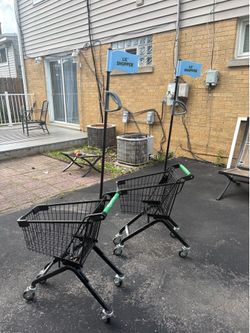 Two kids carts
