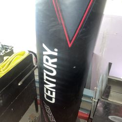 century standing punchbag