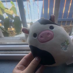 Connor cow Easter Squishmallow
