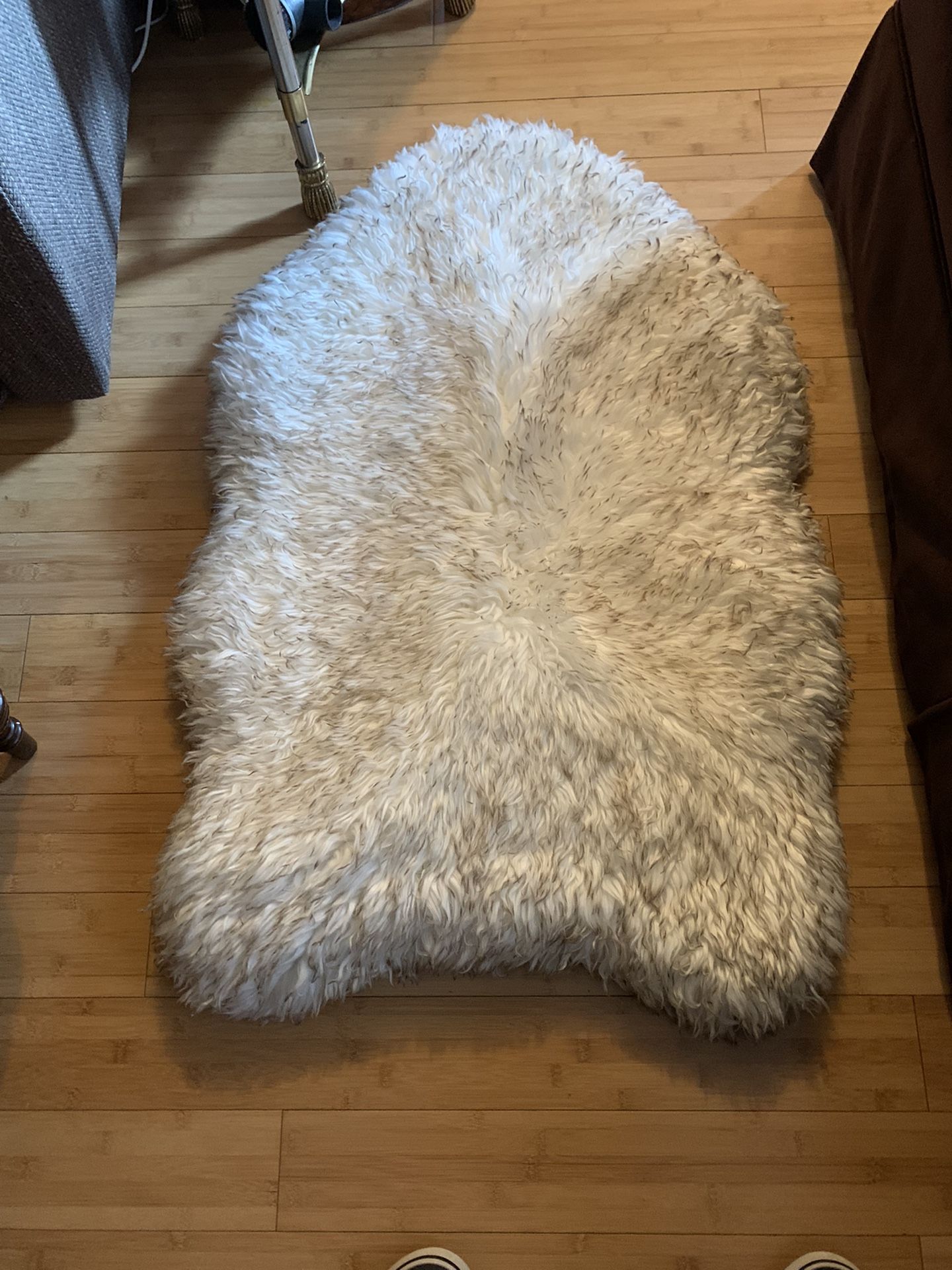 Dog Bed