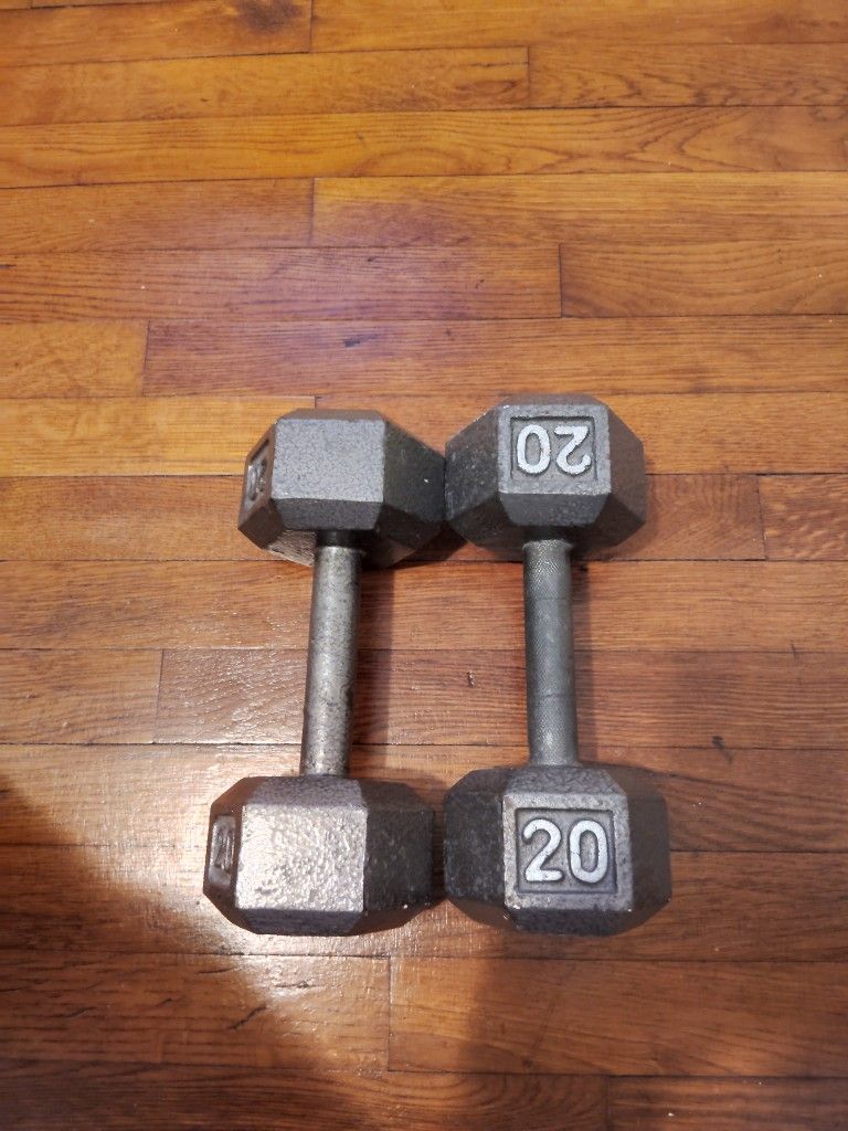 Hex Dumbbells Sets 20 Pounds