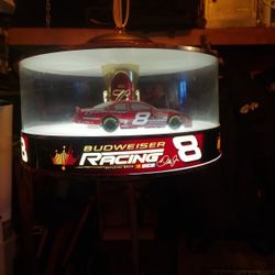 Budweiser Racing Dale Jr Carousel 