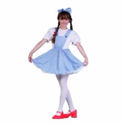 Halloween Costume : Prairie Girl 