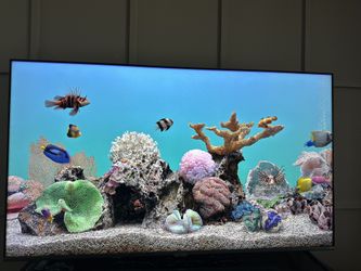 TCL 75” 4K mini-LED