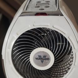 Vornado AVH10 Whole Room Heater with Auto Climate 