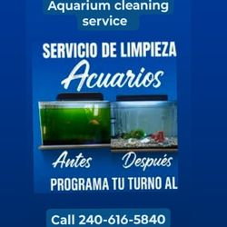 Aquarium Cleaning Service 