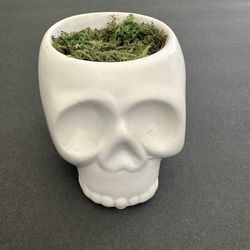 White Skeleton Head Planter