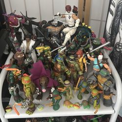 TMNT lot