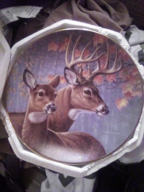 Home Decor