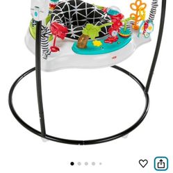 Fisher-Price Baby Bouncer