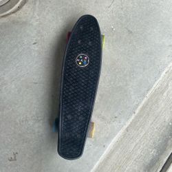 maui skate board