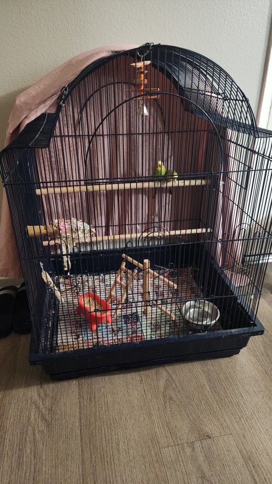Birds Cage