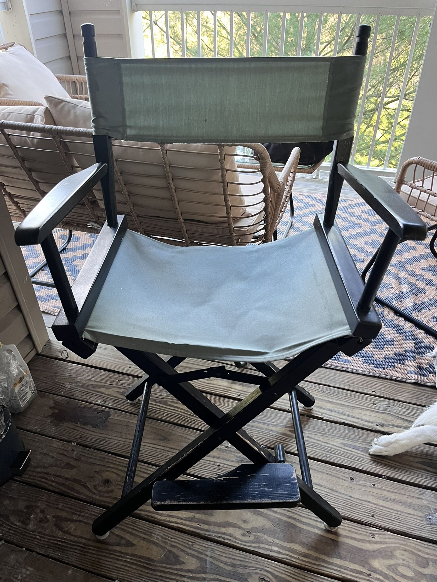 Set Of Foldup Directors Chair (Set of 2)