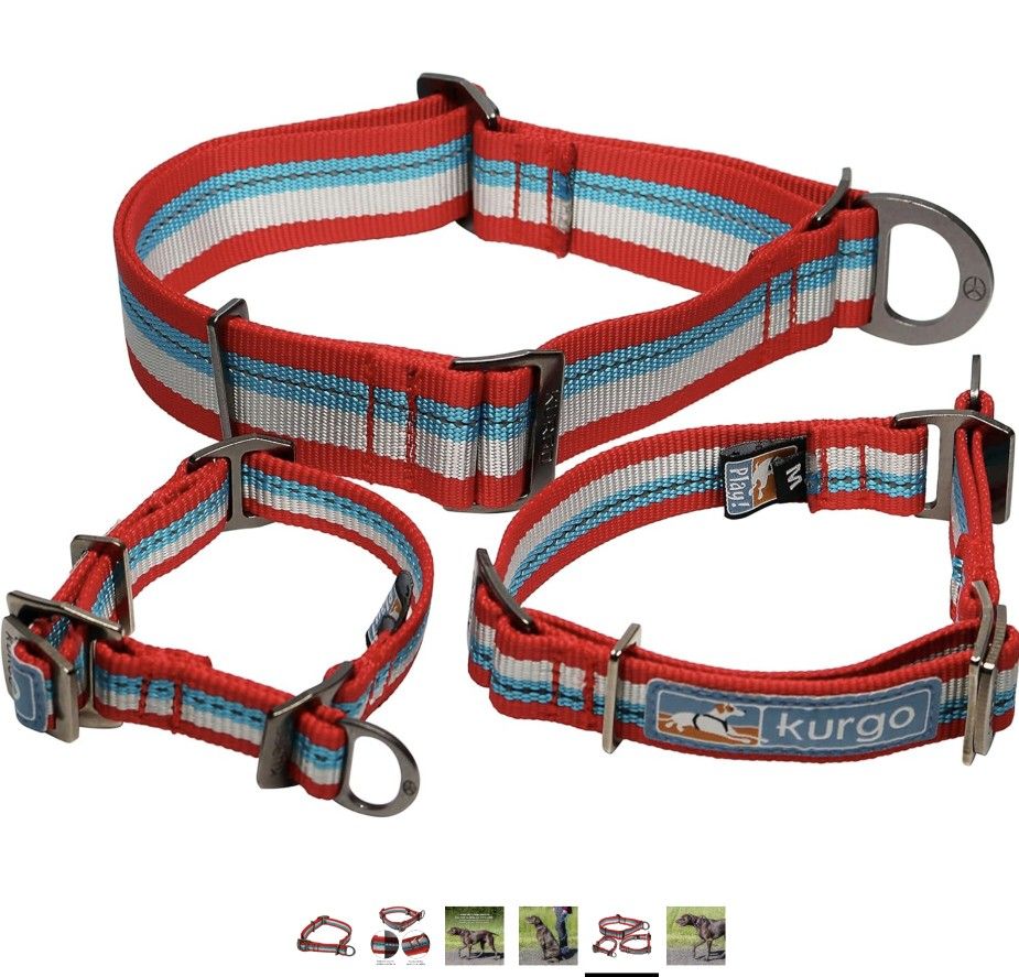 Kurgo Dog Training Collar | Martingale Style Collars for Dogs | Alternative to Choke Collars | Limited Slip | Adjustable | Reflective | Walk About Tra