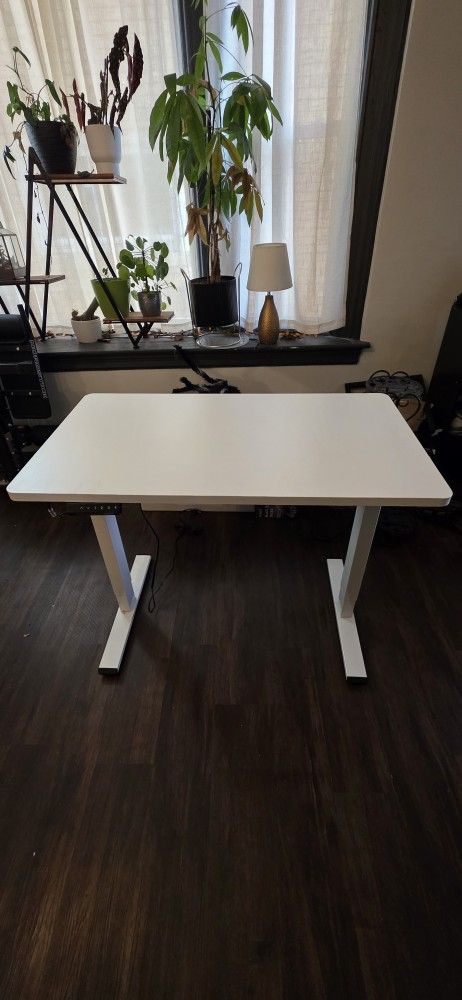 Flexispot Adjustable Standing Desk