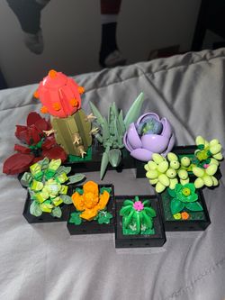 LEGO Succulents Set – Fully Built