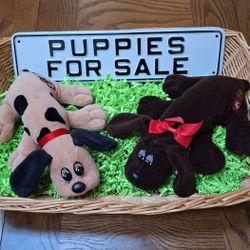 Toy Pound Puppies Set