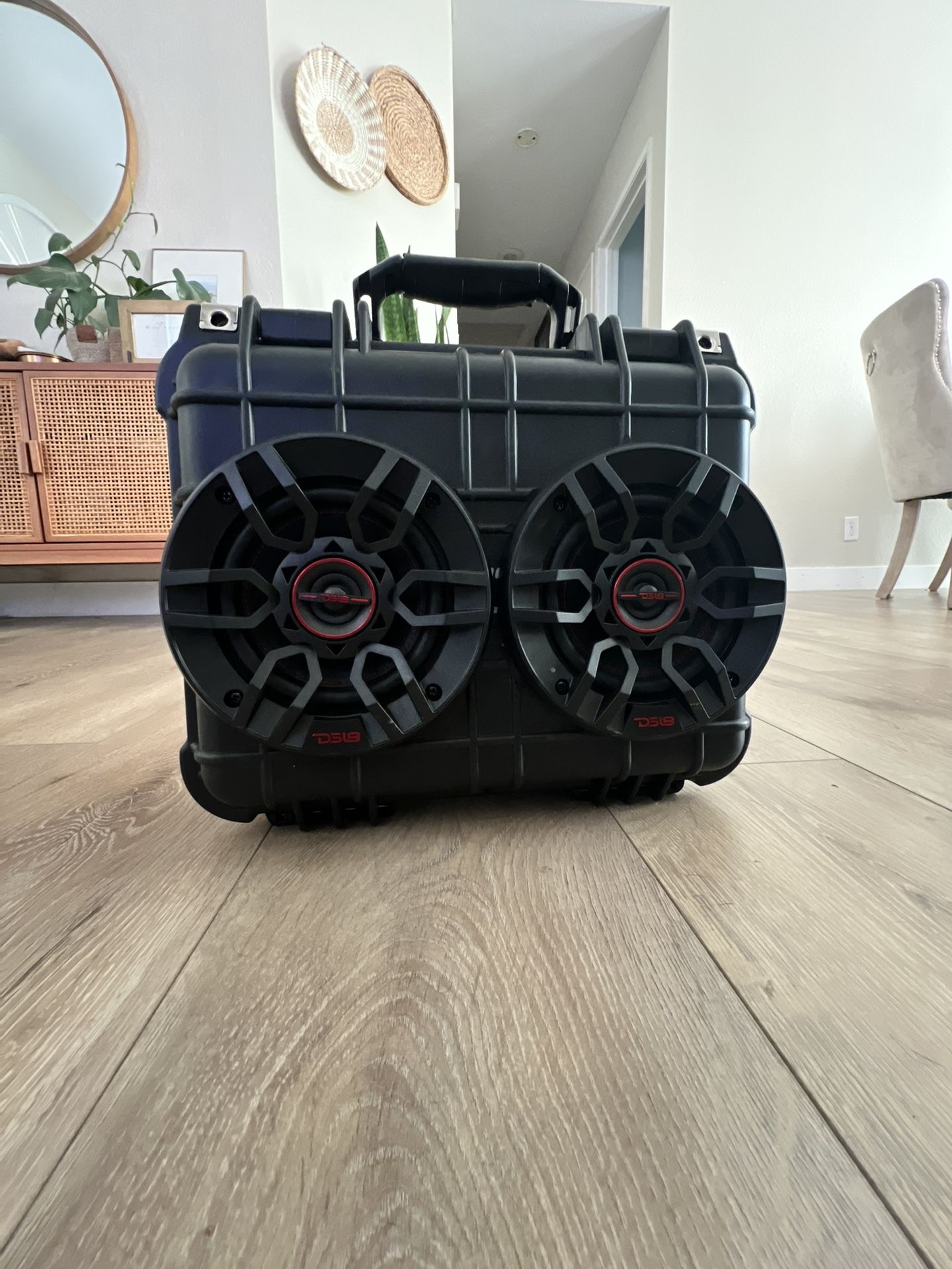 Custom Built Loud Speaker