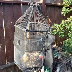 Bird Cage