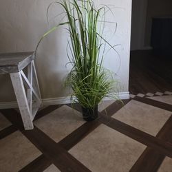 Fake Plant 