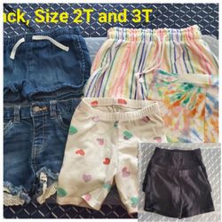 Little Girl Shorts, Size 2T & 1 Short Size 3T