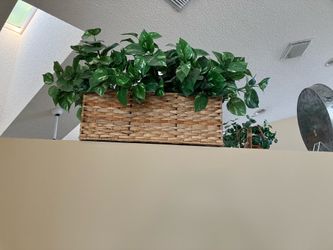 Artificial Plant in Woven Basket