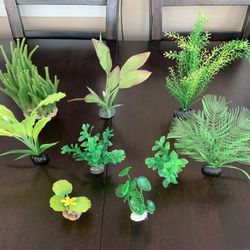 Aquarium Accessories