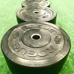 Rogue HG 2.0 Bumper Plates - CrossFit Weights Gym Equipment - Gently Used
