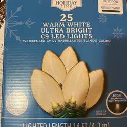 White Christmas Lights