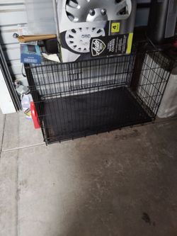 Big dog cage