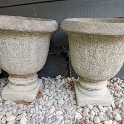 Cement Planters 