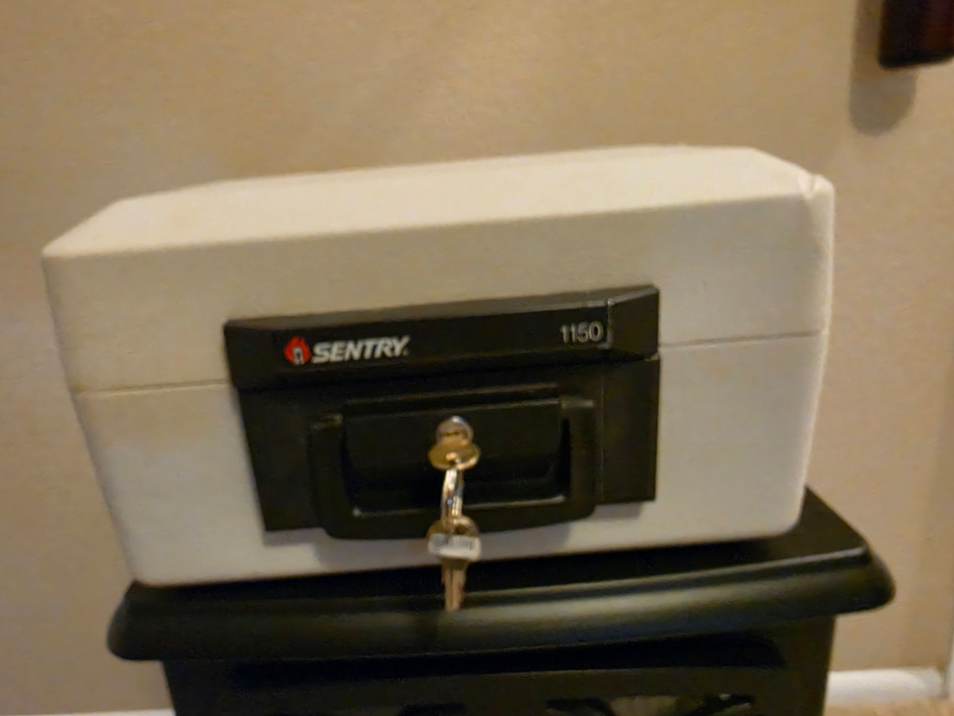 Sentry fireproof box
