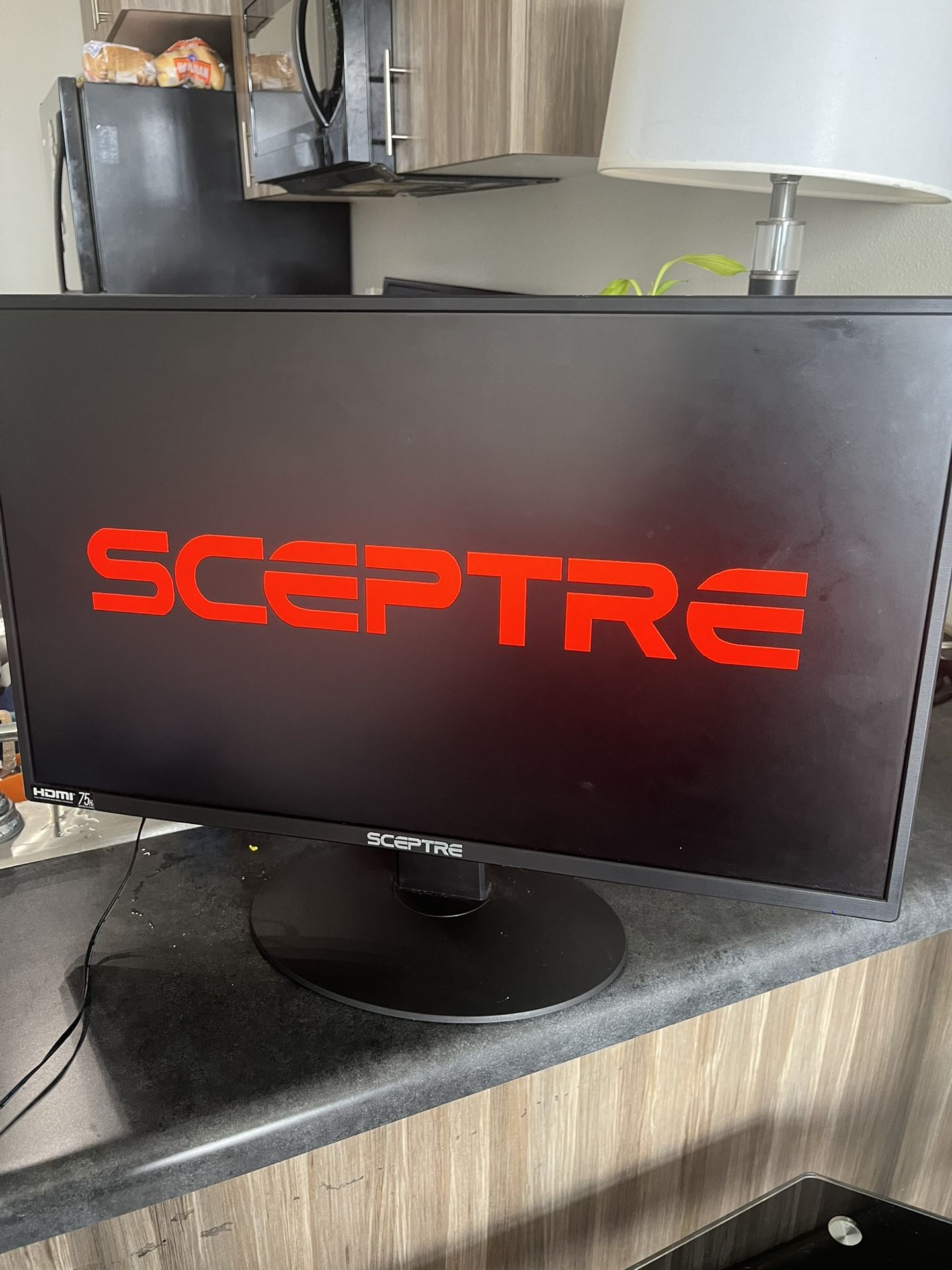 22” Sceptre Monitor