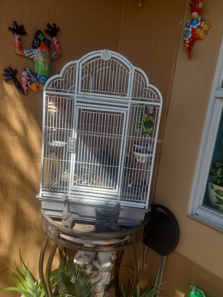 Bird Cage 🐦 